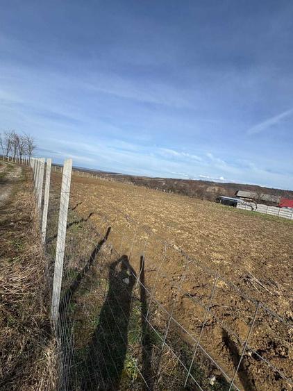 Vand teren intravilan in localitatea Copacel, Bihor. 3082 mp - 1