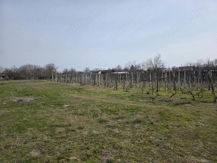 Vand casa comuna Celaru, sat.Soreni ,jud.Dolj - 4