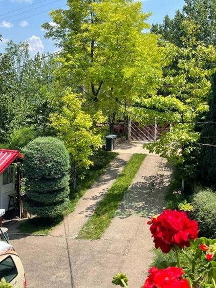 Proprietate deosebita cu gradina superba, luxurianta, 3000 mp, Breaza - 6