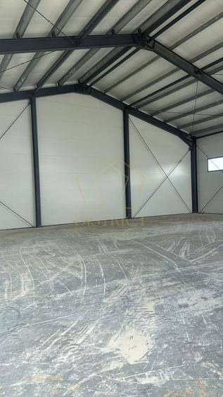 Hala industriala una de 440 mp si 380 mp I Giarmata - 3