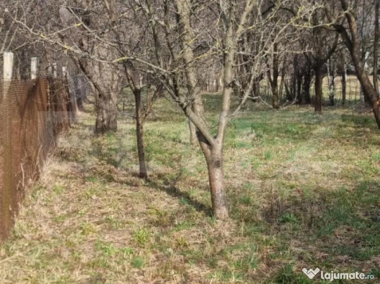 2 CORPURI DE CASA SI 2800 MP TEREN IN BREAZA Prahova - 11