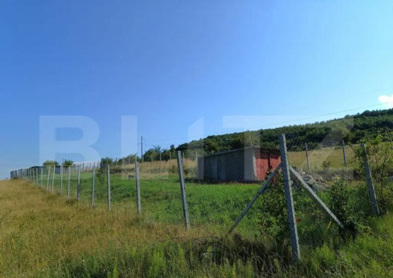 De vanzare teren extravilan, 1000 mp - Valcele - 4