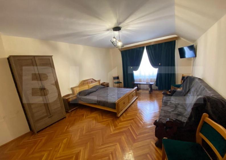 Vila 7 camere, 750mp-teren, BAILE HERCULANE - 22