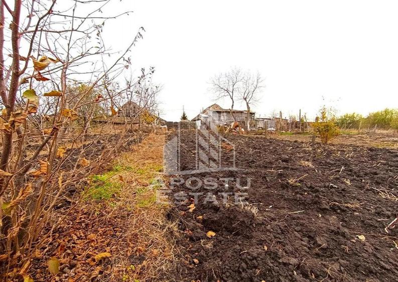 Teren 1000mp Cu Utilitati Dudesti Noi - 13
