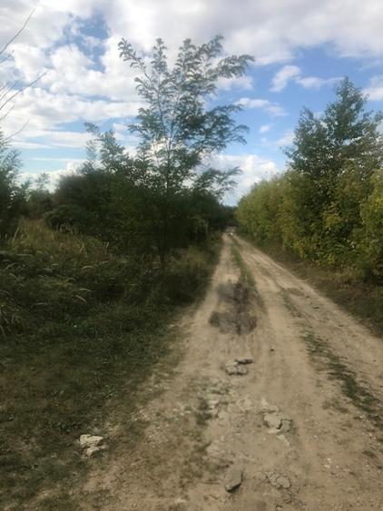 Teren intravilan 2200 mp Hemeius Bacau - 1