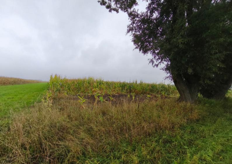 Teren intravilan, 5200mp, front 27ml, Fratautii Vechi, Radau - 5