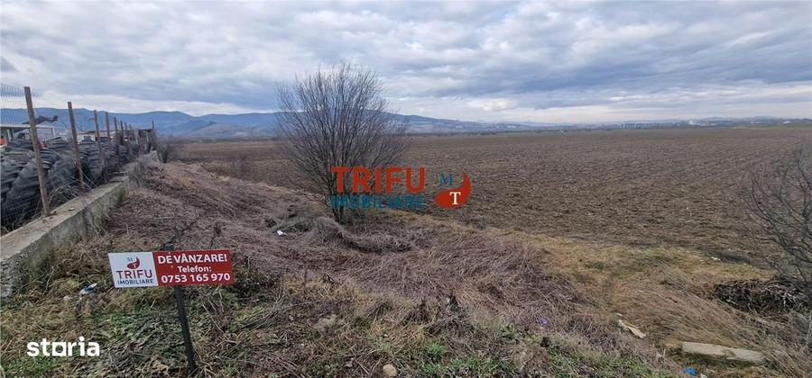 Teren de vanzare zona industriala - 5