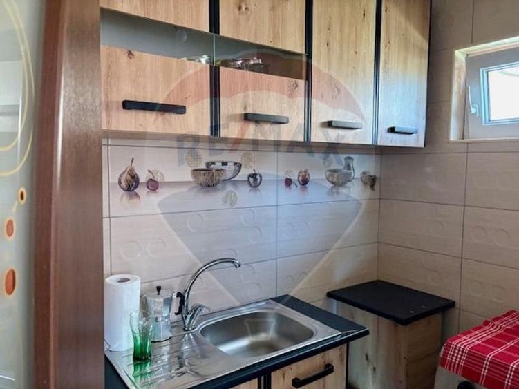 Casă / Vilă cu 5 camere de v&acirc;nzare - 7