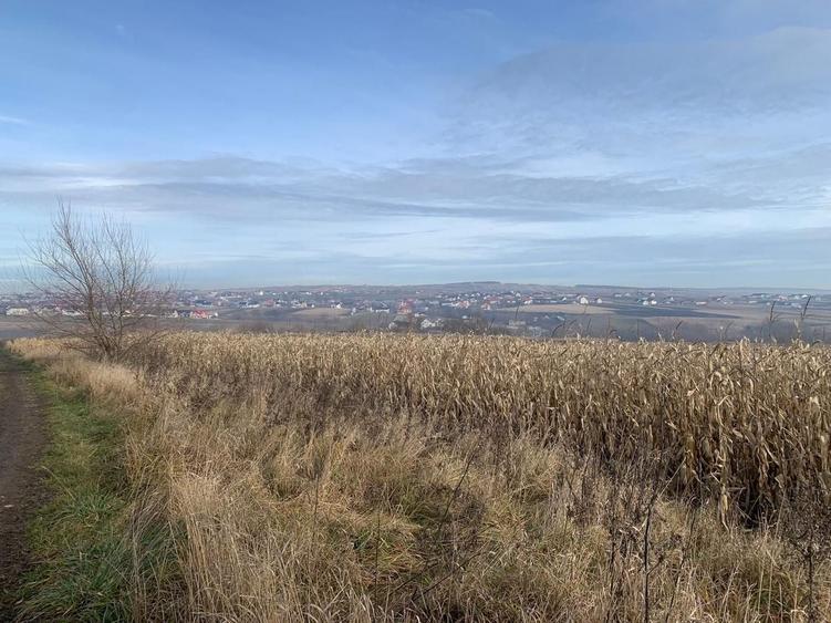 Teren Construcții intravilan de 7800 mp, în Est
