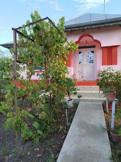 Proprietar vad casa Comuna Bucsani sat Obedeni,jud Giurgiu - 9