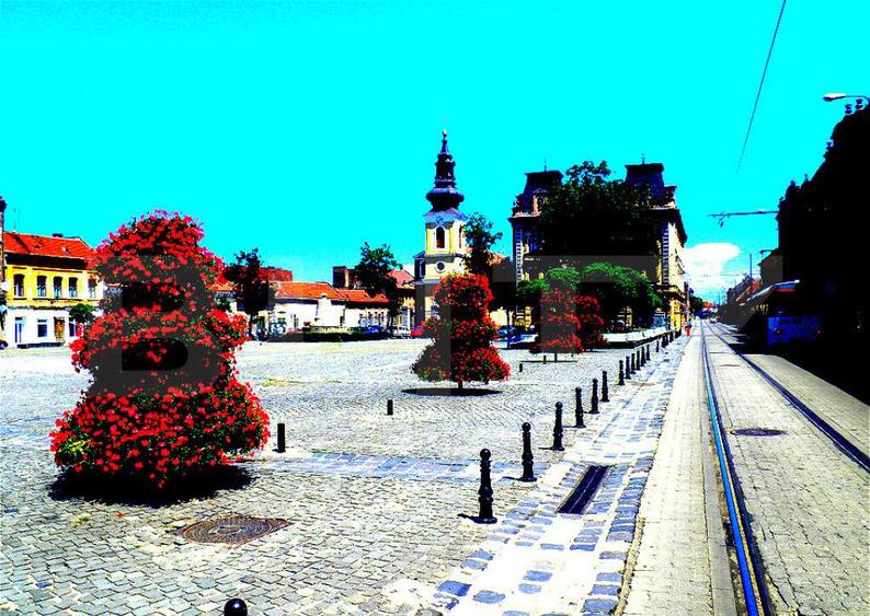 Casa individuala , 5 apartamente, teren in proprietate, zon - 1