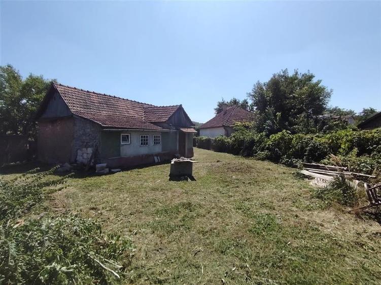 RECO Teren intravilan in Paleu la doar  22euro/mp - 4