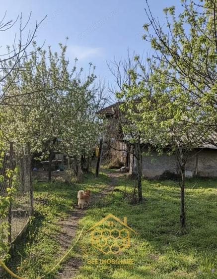 Teren 1.451 mp INTRAVILAN in Podari Toate utilitatile - 7