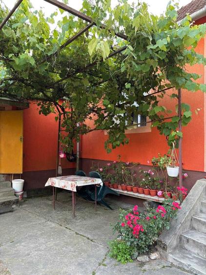 Casa de vanzare, judetul Arad - 3