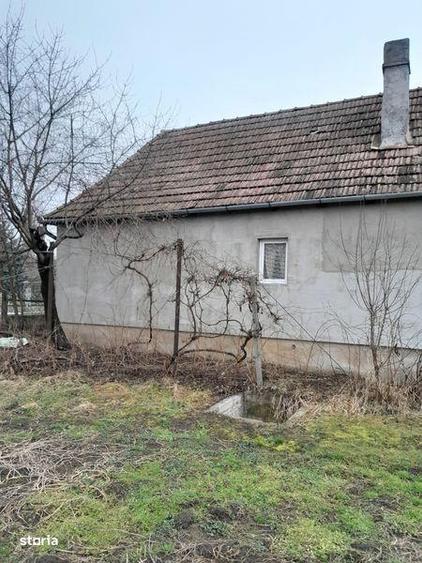 Vand casa in Brancovenesti - 5