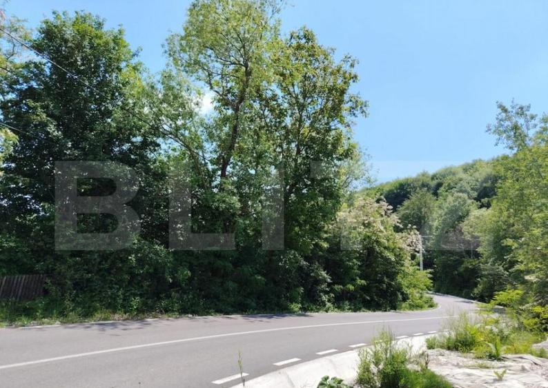 Teren intravilan Pietrosita - 1