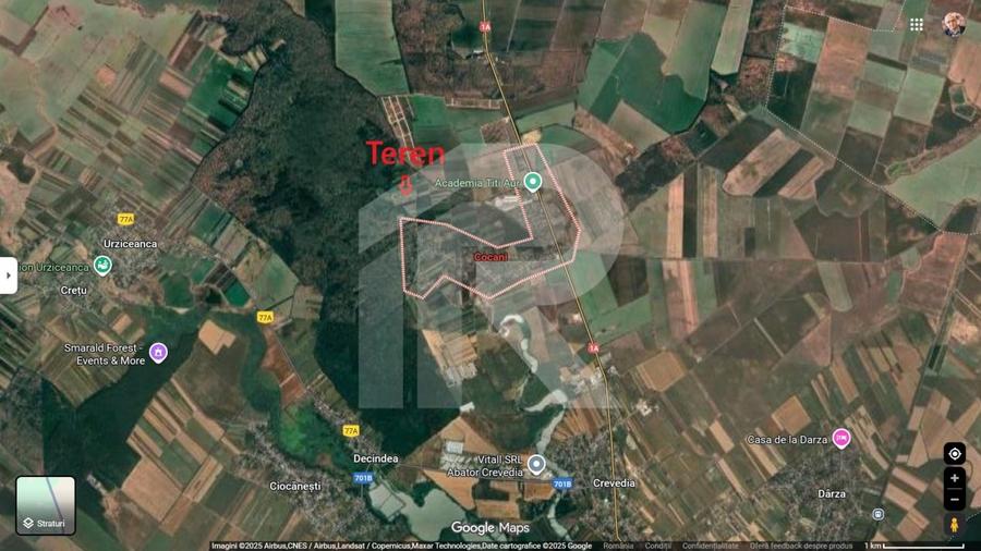 Refugiu la marginea padurii — 2822 mp de liniste in Cocani. - 7