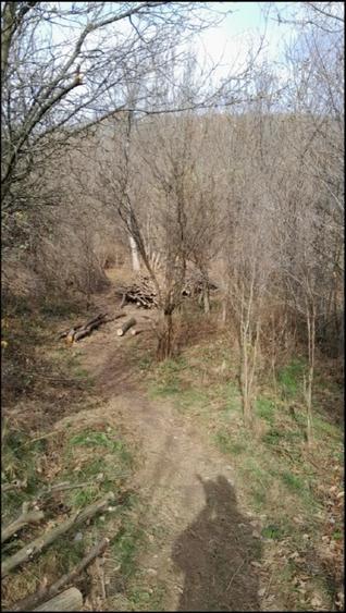 Vand teren intravilan - 4