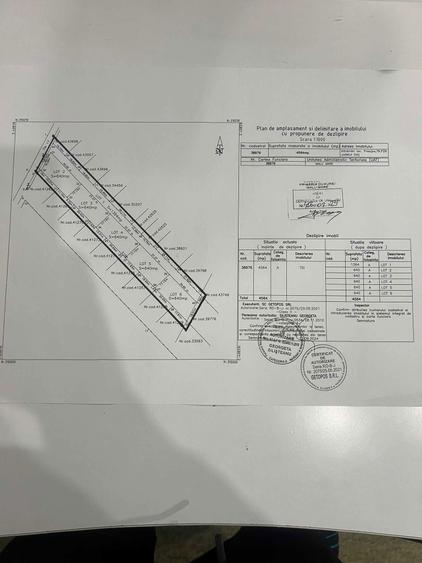 TEREN Selgros Malu Mare - 1