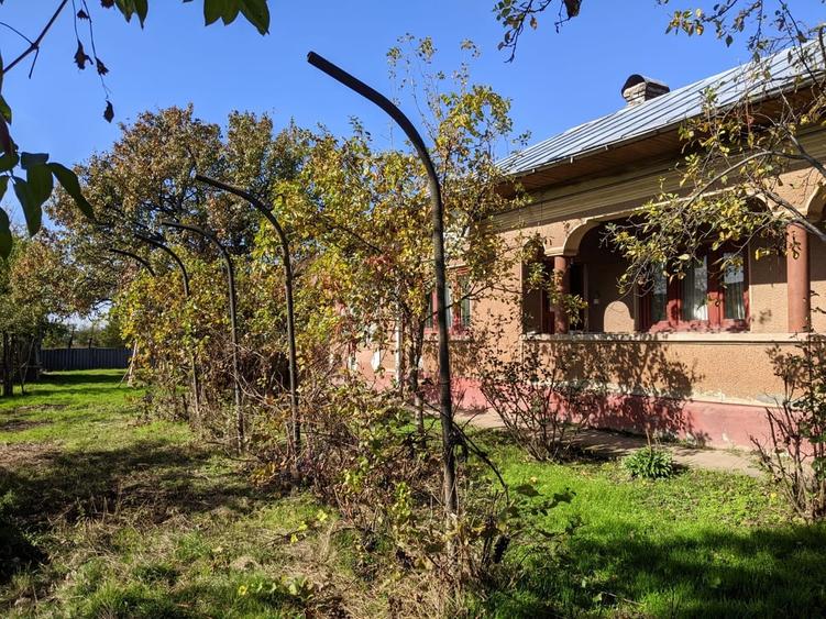 Slobozia, jud. Giurgiu - 2