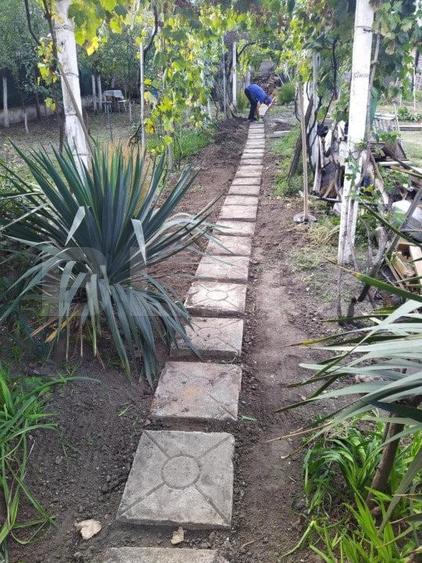 Casa individuala cu 3 camere, 150 mp, zona Elisabetin - 3