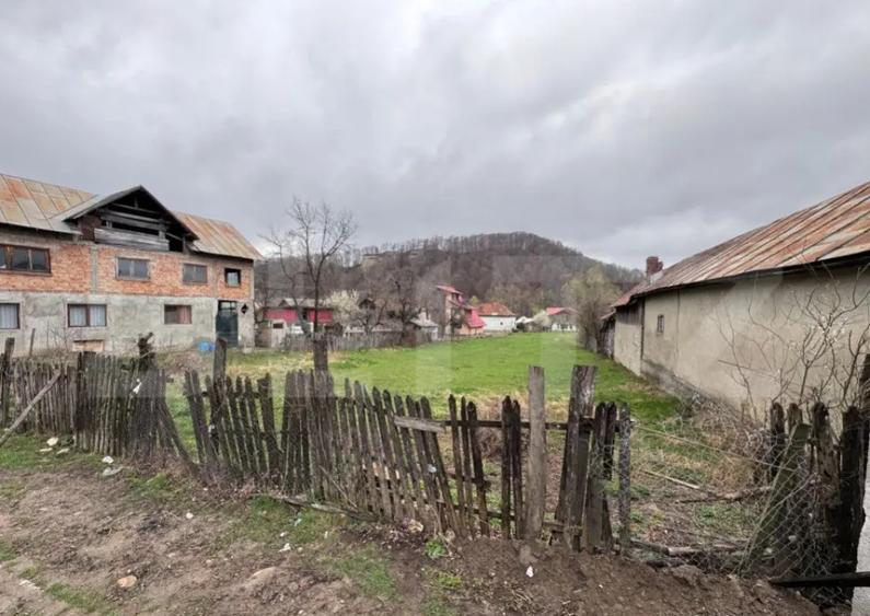 Oportunitate de investitie in Comuna Bezdead - 2
