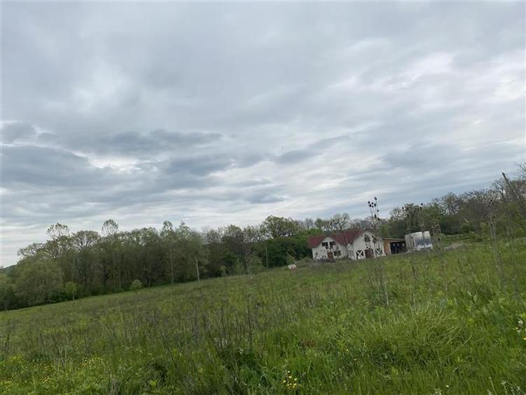 Oportunitate investitie | Teren 10 000 mp cu constructie de 530 mp la 10 km de V - 24