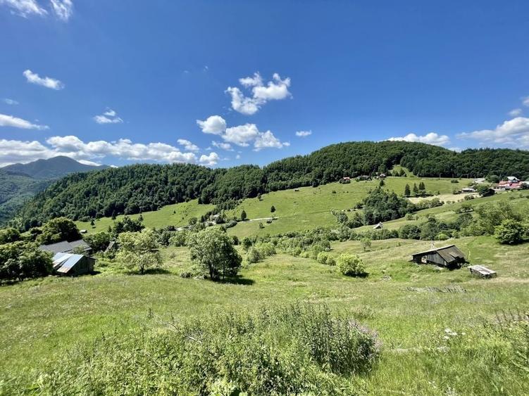 Teren cu vedere panoramica de vanzare | Podu Dambovitei, Comuna Dambovicioara - 6