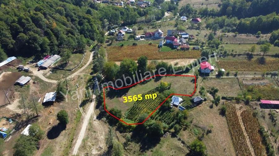 Teren de vanzare in comuna Baicule?ti, sat Tutana, jude? Arge?. - 4