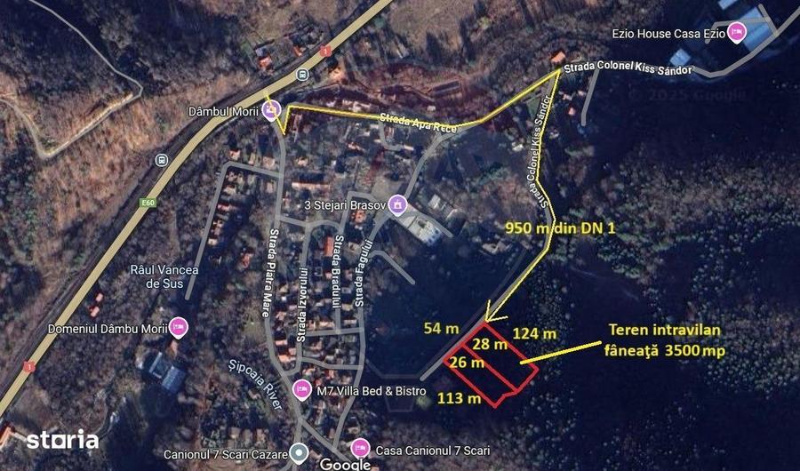 TTeren intravilan, 3500 mp, Dambu Morii - 8