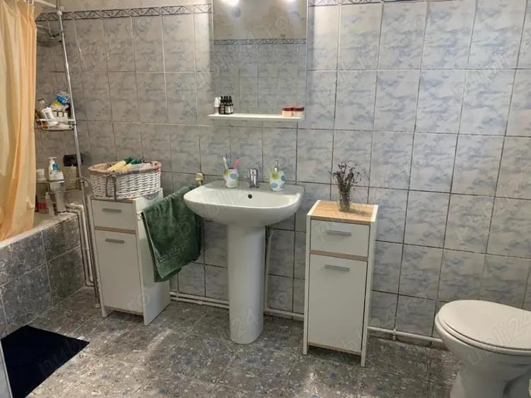 Casa spa?ioasa + 3000mp teren, foraj 120m, zona pitoreasca Balint, Timi? - 1