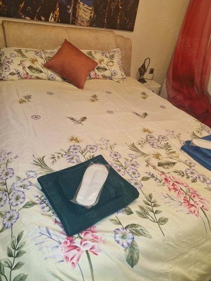 Regim hotelier DE LUX One?ti Ultracentral - 6