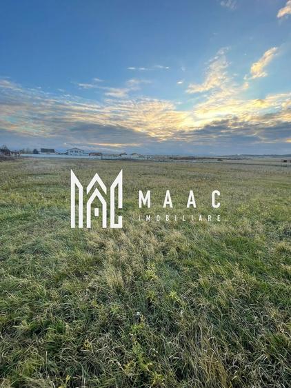 Teren intravilan | 2.100 mp  | Șura Mică - 3