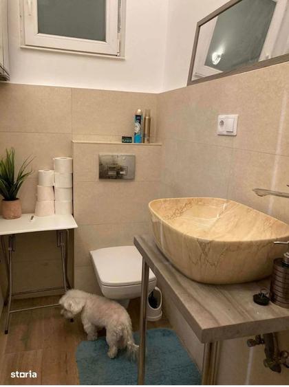 Casa de vanzare zona Horea - 8