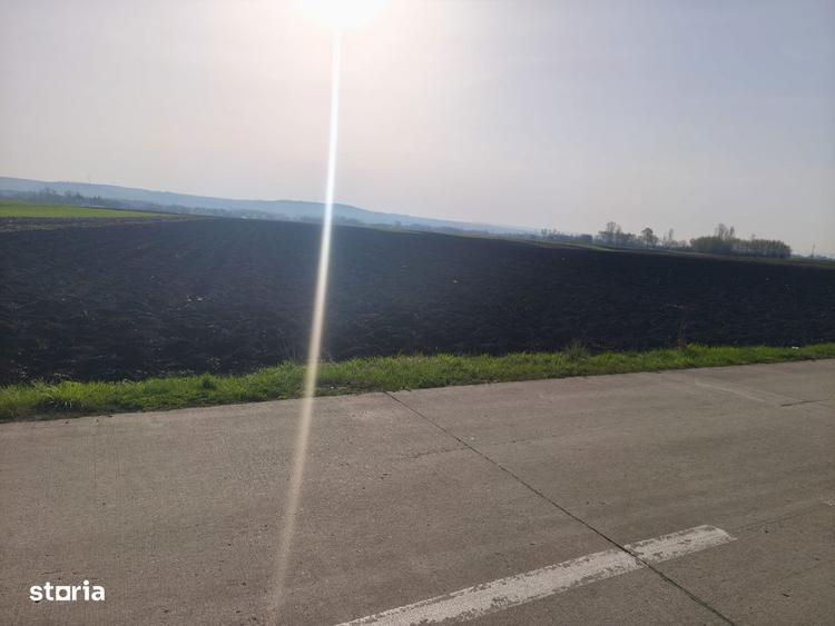 Teren extravilan, 9300mp, 55ml deschidere la drum, Satu Mare, Radauti - 4