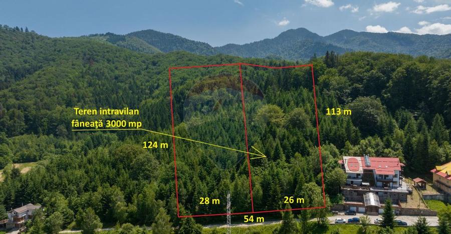 Teren intravilan, 3000 mp, Dambu Morii - 2