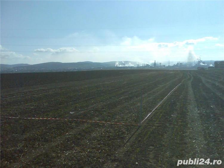 vand teren intravilan 3935 mp, nord - est in sat NAZNA - 5