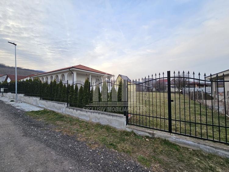 Casa individuala | 290 mp | 1200 mp teren | Mobilata | Alba-Micesti - 2