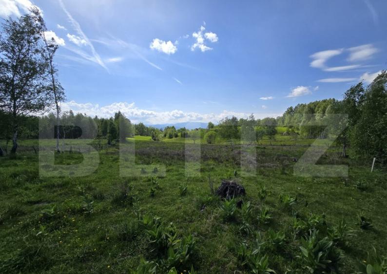 Teren extravilan 13103 mp in Dealu Mare! Oportunitate invest - 6
