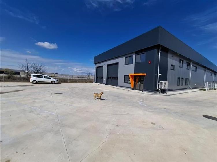 Inchiriere depozit/hala/spatiu industrial Chitila - Centura - Rudeni - 6