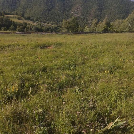 Teren intravilan in Plopi com. Valea Ierii - 3