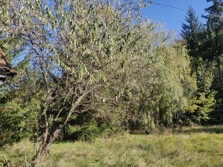 Vand casa de vacanta de 70 mp pe un teren de 1572 mp in Campul Cetatii la intrare in sat,langa sosea - 10