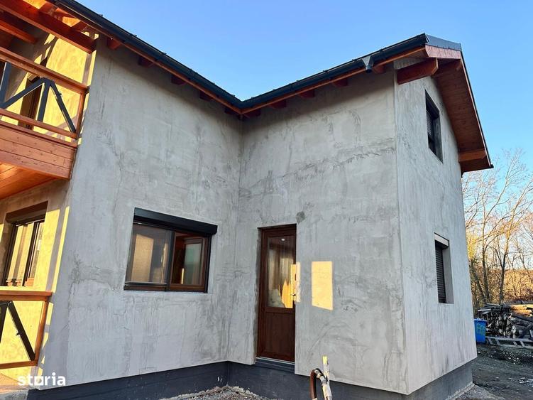 Cabana in Colun , langa Porumbacu de jos - 2