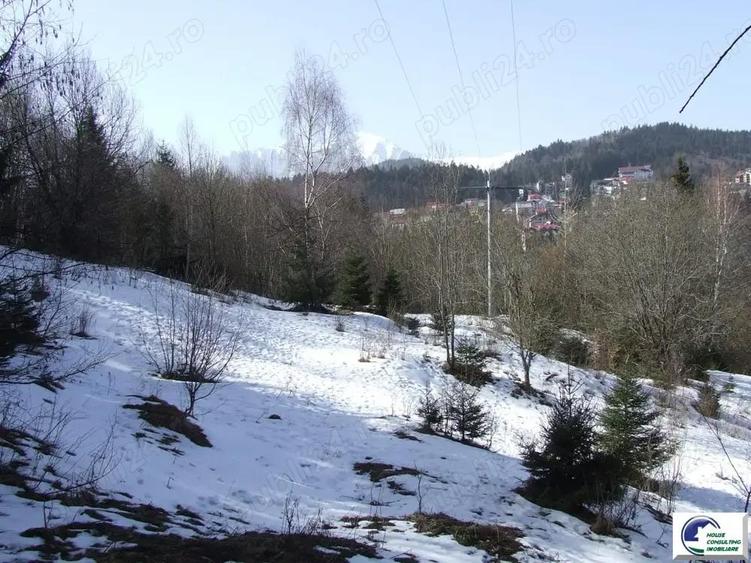 Teren situat in Predeal - 5