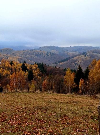 Oportunitate rară! Teren 7.283 mp, investitie garantată - 13