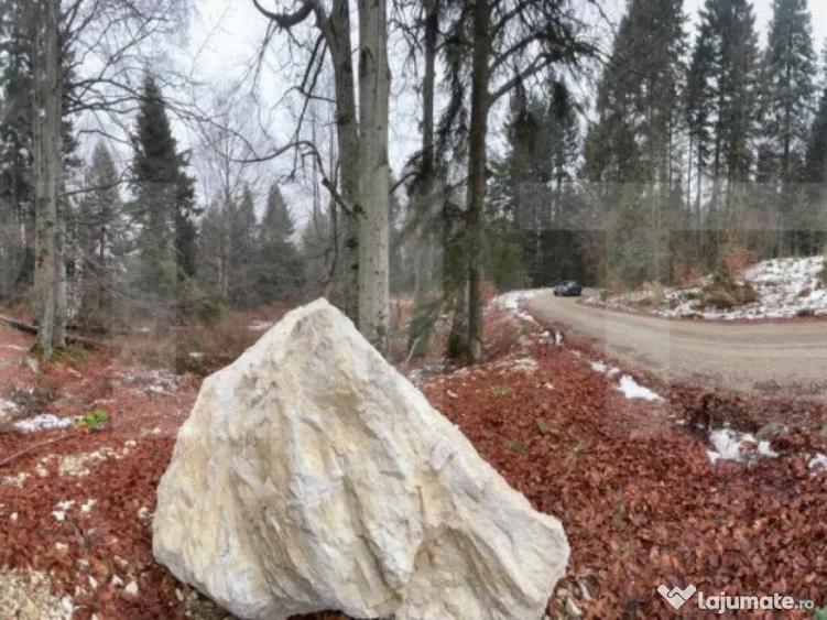 Teren unic, exclusivist 4000 mp, in inima muntilor, Sinaia - 1