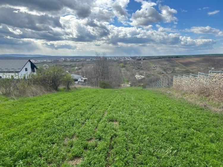 Teren agricol intravilan de 3271 mp, în Valea Lupului