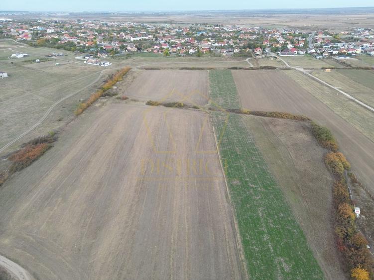 Teren Construcții intravilan de 11600 mp, în Remetea Mare