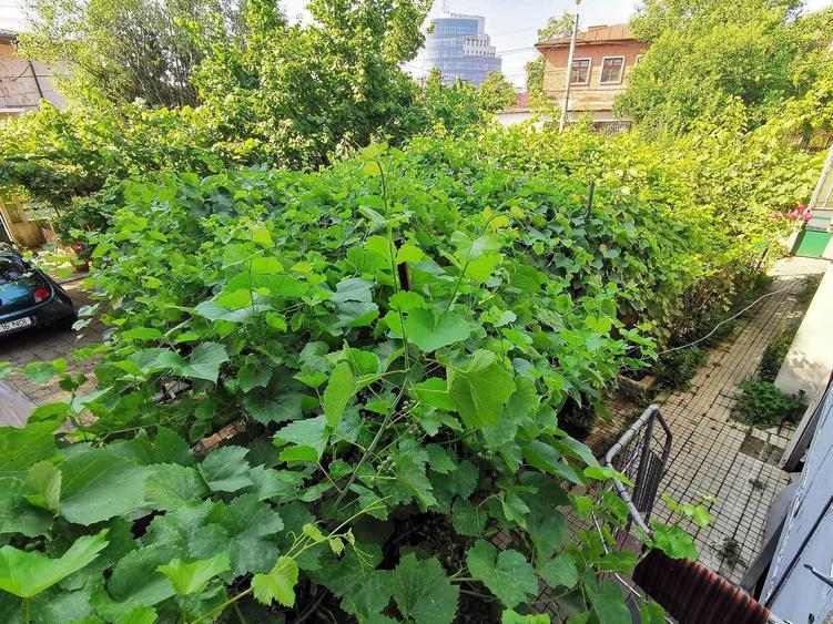 Casă cu 4 camere în Ultracentral
