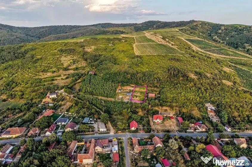 Teren în Miniș